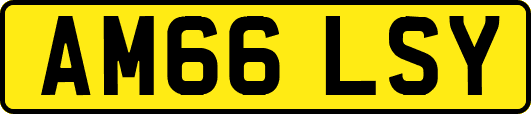 AM66LSY
