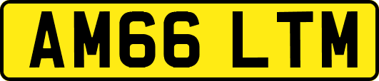 AM66LTM