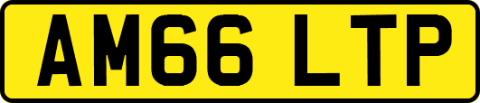 AM66LTP