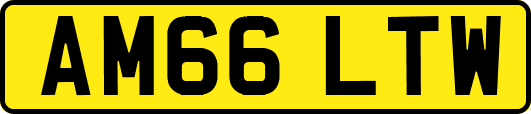 AM66LTW