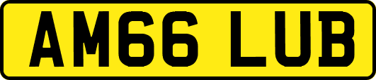 AM66LUB