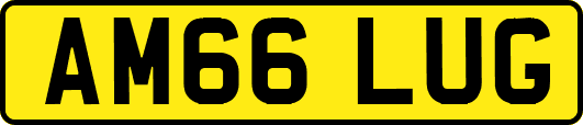 AM66LUG