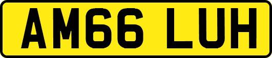 AM66LUH
