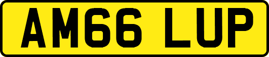AM66LUP
