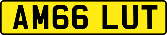 AM66LUT