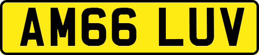 AM66LUV