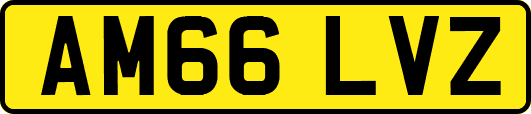 AM66LVZ