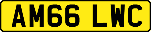 AM66LWC