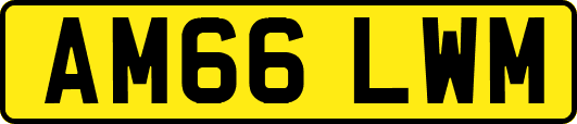 AM66LWM