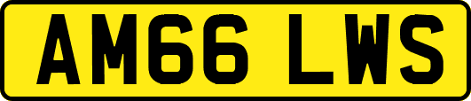 AM66LWS