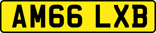 AM66LXB