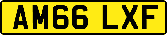 AM66LXF