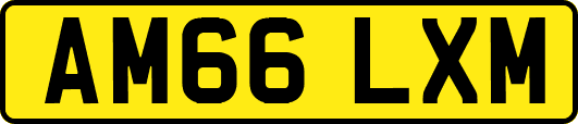 AM66LXM