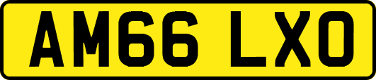 AM66LXO