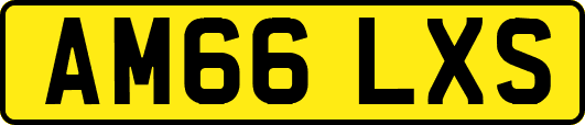 AM66LXS
