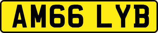 AM66LYB