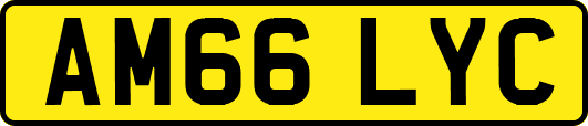 AM66LYC