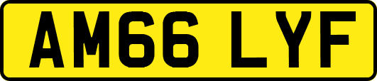 AM66LYF