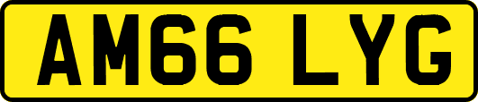 AM66LYG
