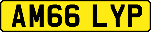 AM66LYP