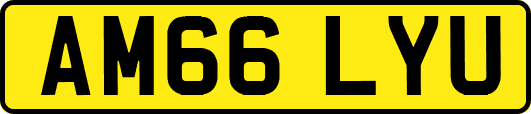 AM66LYU