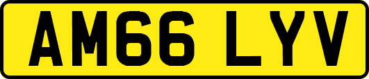 AM66LYV