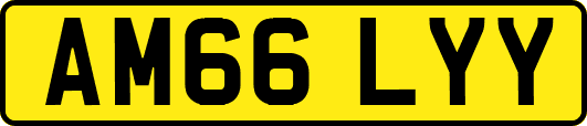 AM66LYY