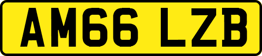 AM66LZB