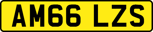 AM66LZS