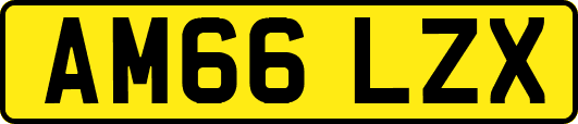 AM66LZX