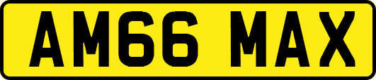 AM66MAX