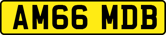 AM66MDB