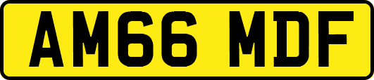 AM66MDF