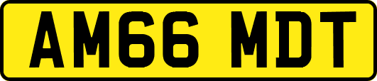 AM66MDT