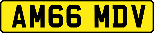 AM66MDV