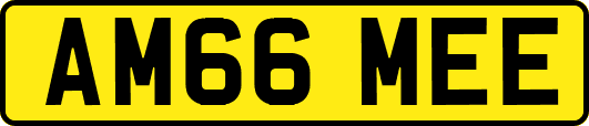 AM66MEE