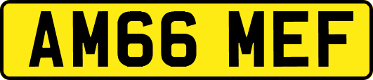 AM66MEF