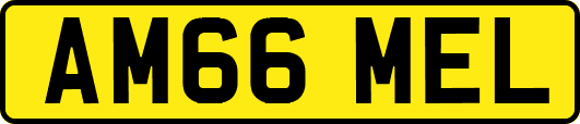 AM66MEL