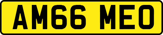 AM66MEO