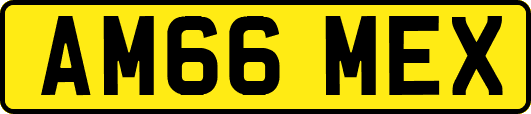 AM66MEX
