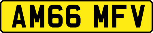 AM66MFV