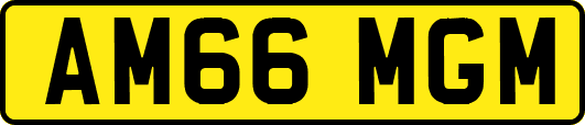 AM66MGM