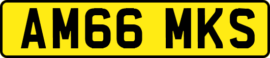 AM66MKS