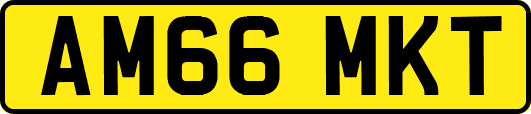 AM66MKT