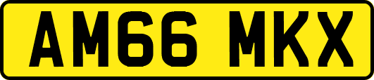 AM66MKX