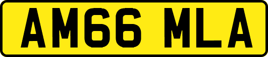AM66MLA