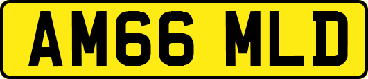 AM66MLD