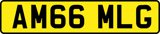 AM66MLG