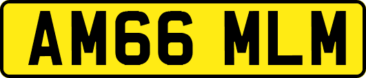 AM66MLM