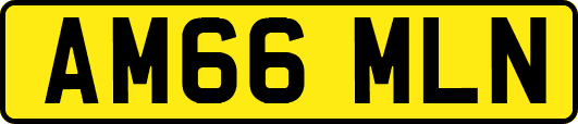 AM66MLN